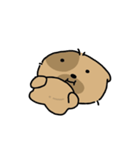 かわいい子犬ワンパンドク（個別スタンプ：20）