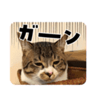 タオここスタンプ〜タオvol.1（個別スタンプ：7）
