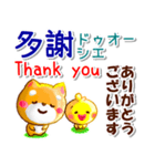 台湾華語[カタカナ発音付き],英語,日本語（個別スタンプ：6）