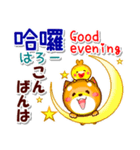 台湾華語[カタカナ発音付き],英語,日本語（個別スタンプ：11）