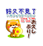 台湾華語[カタカナ発音付き],英語,日本語（個別スタンプ：12）