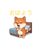 柴犬の日常 01（個別スタンプ：1）