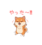 柴犬の日常 01（個別スタンプ：16）
