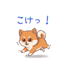 柴犬の日常 01（個別スタンプ：17）