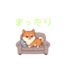 柴犬の日常 01（個別スタンプ：21）