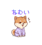 柴犬の日常 01（個別スタンプ：22）