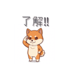 柴犬の日常 01（個別スタンプ：23）
