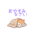 柴犬の日常 01（個別スタンプ：24）
