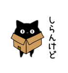 ぼく黒猫煽り毒舌パラダイス（個別スタンプ：8）