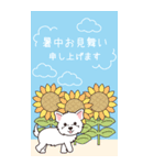 『ウエスティ』夏のごあいさつ（個別スタンプ：1）