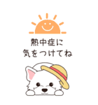 『ウエスティ』夏のごあいさつ（個別スタンプ：10）