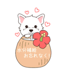 『ウエスティ』夏のごあいさつ（個別スタンプ：11）