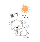 『ウエスティ』夏のごあいさつ（個別スタンプ：13）