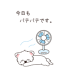 『ウエスティ』夏のごあいさつ（個別スタンプ：14）