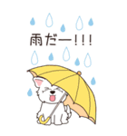 『ウエスティ』夏のごあいさつ（個別スタンプ：15）
