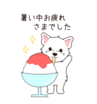 『ウエスティ』夏のごあいさつ（個別スタンプ：19）