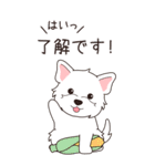 『ウエスティ』夏のごあいさつ（個別スタンプ：25）