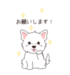『ウエスティ』夏のごあいさつ（個別スタンプ：29）