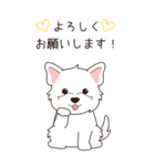 『ウエスティ』夏のごあいさつ（個別スタンプ：30）