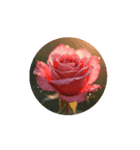 花.薔薇など.文字なしスタンプ.Flower Rose（個別スタンプ：4）