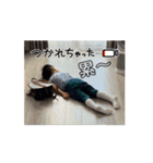 DD Stamp 1（個別スタンプ：7）