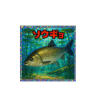 魚！さかな！サカナ！ BIGスタンプVol.1（個別スタンプ：24）