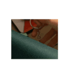 ミシシッピカエル（個別スタンプ：1）