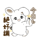 うさぎさん 2025 「たまには本音で」（個別スタンプ：1）
