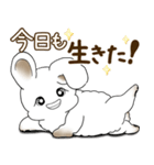 うさぎさん 2025 「たまには本音で」（個別スタンプ：32）