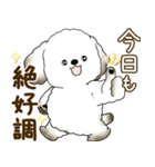 犬さん 2025 「たまには本音で」（個別スタンプ：1）