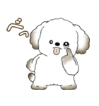 犬さん 2025 「たまには本音で」（個別スタンプ：13）