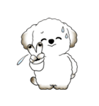 犬さん 2025 「たまには本音で」（個別スタンプ：26）