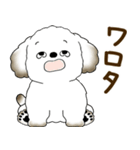 犬さん 2025 「たまには本音で」（個別スタンプ：28）