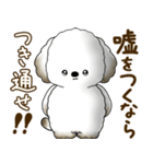 犬さん 2025 「たまには本音で」（個別スタンプ：39）
