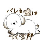 犬さん 2025 「たまには本音で」（個別スタンプ：40）