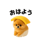 お寿司ポメ（個別スタンプ：2）