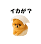 お寿司ポメ（個別スタンプ：6）
