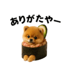 お寿司ポメ（個別スタンプ：8）