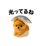 お寿司ポメ（個別スタンプ：10）