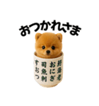 お寿司ポメ（個別スタンプ：14）