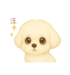 ワンだふる｜マルチーズ【台湾語】（個別スタンプ：3）