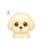 ワンだふる｜マルチーズ【台湾語】（個別スタンプ：7）