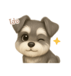 ワンだふる｜シュナウザー【タイ語】（個別スタンプ：10）