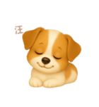 ワンだふる｜ジャックラッセル【台湾語】（個別スタンプ：6）
