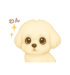 ワンだふる｜マルチーズ（個別スタンプ：3）