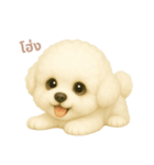 ワンだふる｜ビションフリーゼ【タイ語】（個別スタンプ：2）