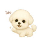 ワンだふる｜ビションフリーゼ【タイ語】（個別スタンプ：3）