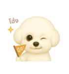 ワンだふる｜ビションフリーゼ【タイ語】（個別スタンプ：5）