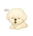 ワンだふる｜ビションフリーゼ【タイ語】（個別スタンプ：6）