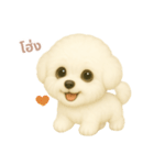ワンだふる｜ビションフリーゼ【タイ語】（個別スタンプ：8）